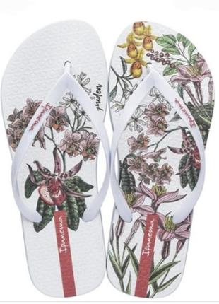 Женские вьетнамки ипанема ipanema botanicals white