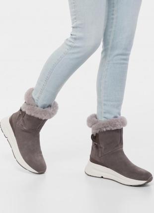 Черевики geox backsie модель d94fpc-02246-c6004
