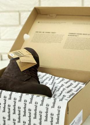 Timberland 6