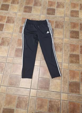 Спортивні штани adidas