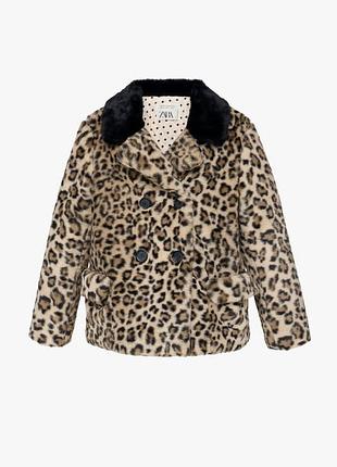 Пальто zara с леопардовым принтом — limited edition