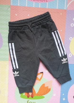 Штаны adidas