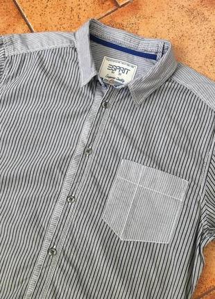 Красивая рубашка бренда esprit размер м s