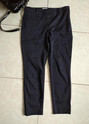 Штани лосини