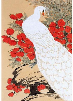 Алмазна мозаїка 5d,білий павич 45*28