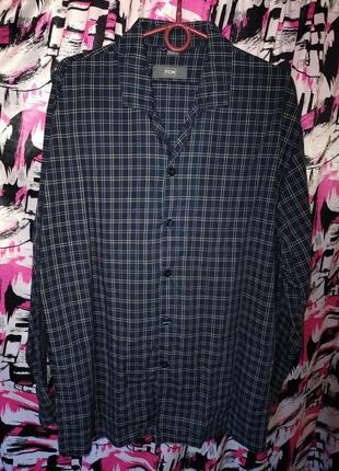 Піжвма чоловіча