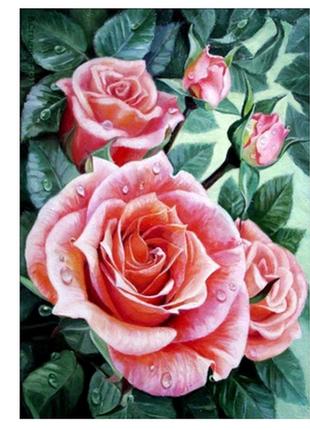 Алмазна мозаїка 5d, троянди,повна викладка,40*301 фото