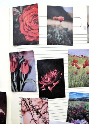 Набір #19 квіти наліпки для скрапбукінга, картинки зображення марки стікери для щоденників блокнота скетча записника5 фото