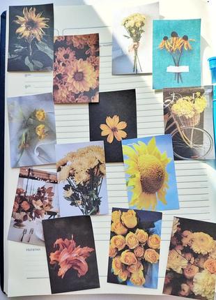 Набір #21 квіти наліпки для скрапбукінга, картинки зображення марки стікери для щоденників блокнота скетча записника