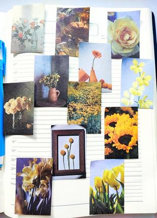 Набір #22 квіти наліпки для скрапбукінга, картинки зображення марки стікери для щоденників блокнота скетча записника2 фото