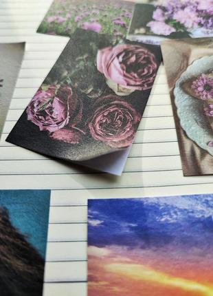 Набір #23 квіти наліпки для скрапбукінга, картинки зображення марки стікери для щоденників блокнота скетча записника7 фото