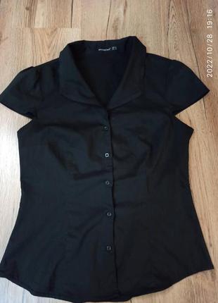 Блузка футболка класична