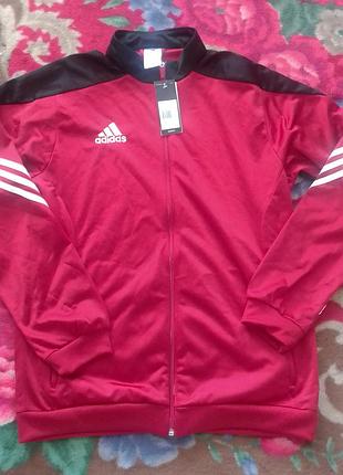 Олімпійка чоловіча адідас