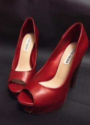 Елегантні бордові туфлі від steve madden