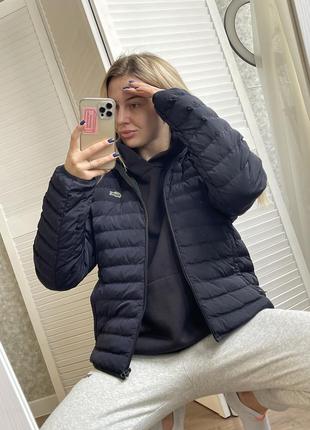 Lacoste оригінал 5