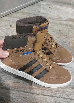 Кроссівки