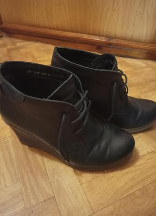 Осінні ботінки, натуральна шкіра, платіорма, танкетка