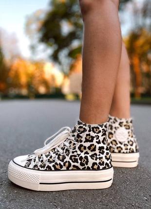 Крутейшие женские высокие кеды converse chuck taylor all star high leo premium леопардовые бежевые3 фото