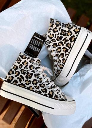 Крутейшие женские высокие кеды converse chuck taylor all star high leo premium леопардовые бежевые5 фото