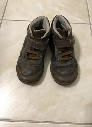 Черевички clarks