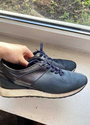 Кросівки gino rossi