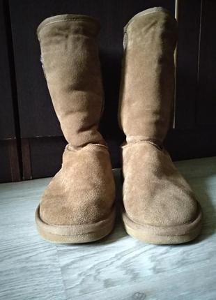 Чоботи чоловічі ugg australia