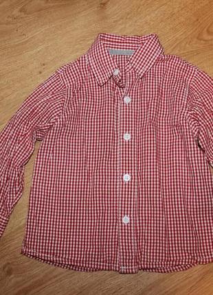 Стильна сорочка