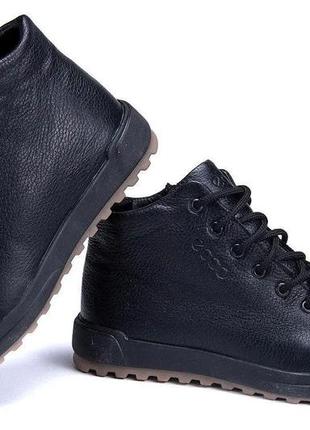 Ботинки спортивные, кроссовки кожаные зимние ecco expression10 фото