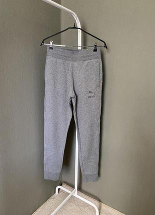 Сірі джогерри BWGH x Puma R698 Tronomic Bluefield Project