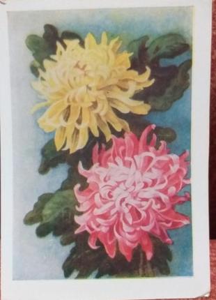 Листівка 1958 - актуально