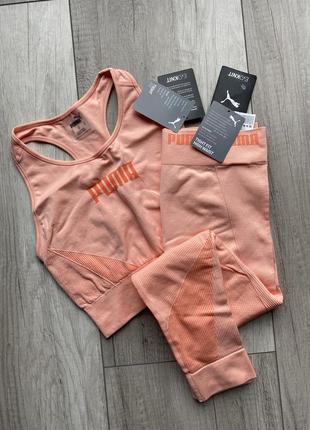 Спортивний комплект puma evoknit