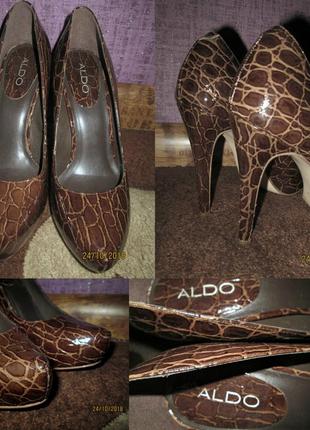 Туфлі aldo5 фото