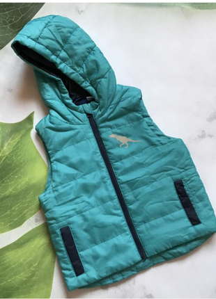 Утепленный жилет безрукавка, на флисовой подкладке, lupilu. 98