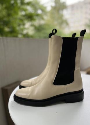 Челсі massimo dutti