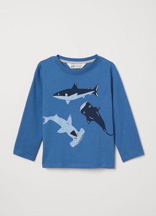 Реглан h&m морские рыбы размер 4-6 лет рост 110-116