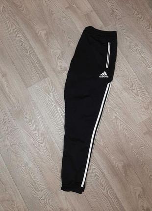 Спортивные штаны adidas climacool