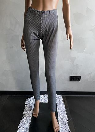 Лосіни в гусячу лапку