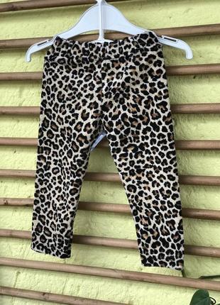 Велюрові лосинки