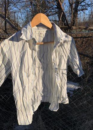 Сорочка tommy hilfiger