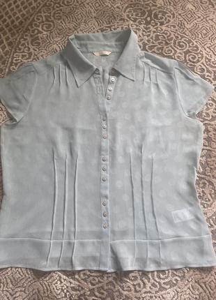 Блузка ніжна