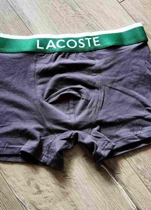 Боксери lacoste1 фото