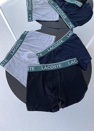 Труси lacoste (3 шт.)