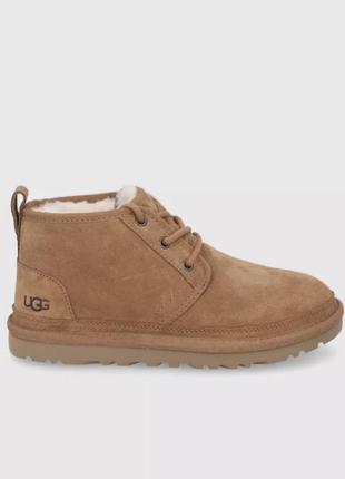 Зимние ботинки ugg оригинал