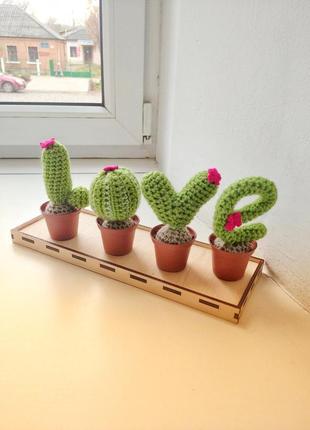 Набір в'язаних кактусів "love"