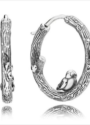 Серебрянные серьги птичка на ветке сережки кольца конго3 фото