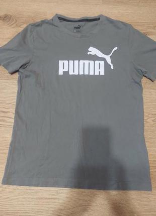 Puma