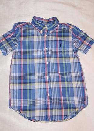 🏇🏇🏇 рубашка