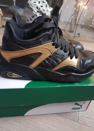 Кросівки puma Blue trinomic