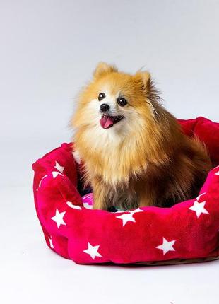 Лежак для домашних животных красный со звездами из микрофибры. место для кошек и собак весом 1-7кг2 фото