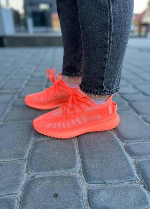 Жіночі кросівки adidas yeezy  женские кроссовки адидас6 фото